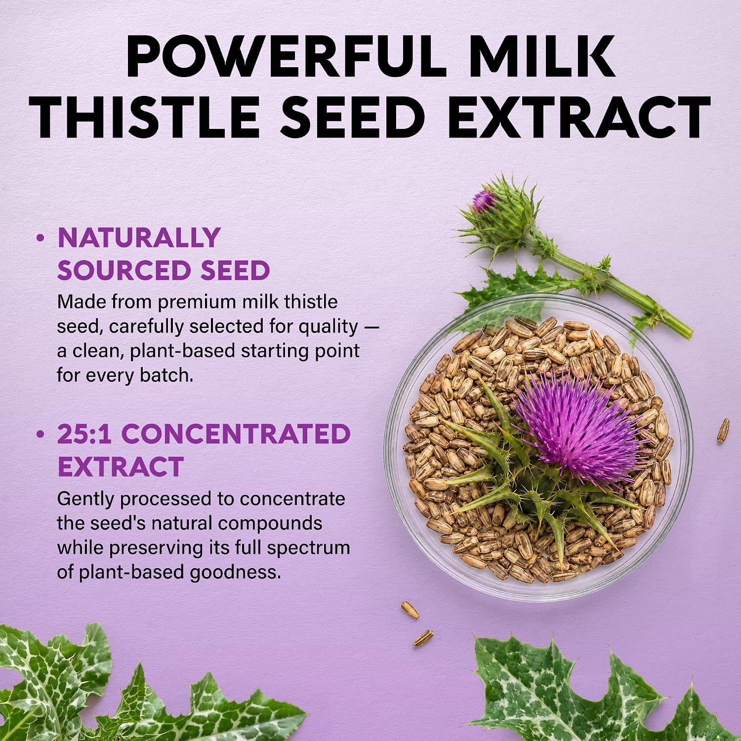 NUTRAHARMONY Milk Thistle TUDCA Liver Cleanse Detox Support Capsules