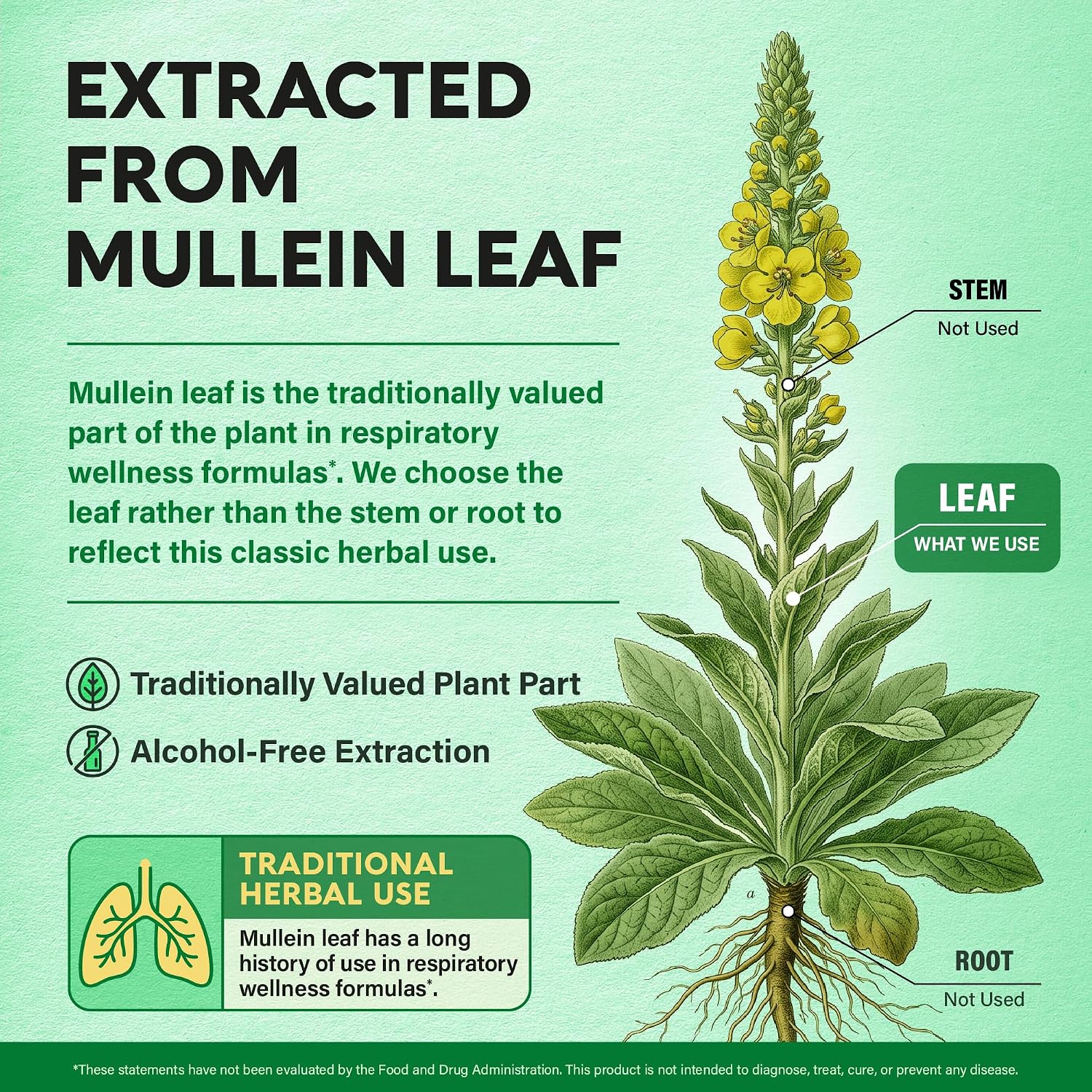 NUTRAHARMONY Mullein Lung Detox Respiratory Support Capsules