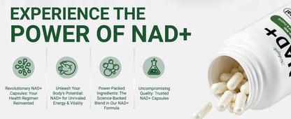 Ncduyde Liposomal NAD+ Supplement Nicotinamide Riboside Resveratrol 1500 mg