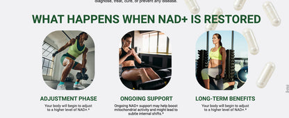 Ncduyde Liposomal NAD+ Supplement Nicotinamide Riboside Resveratrol 1500 mg