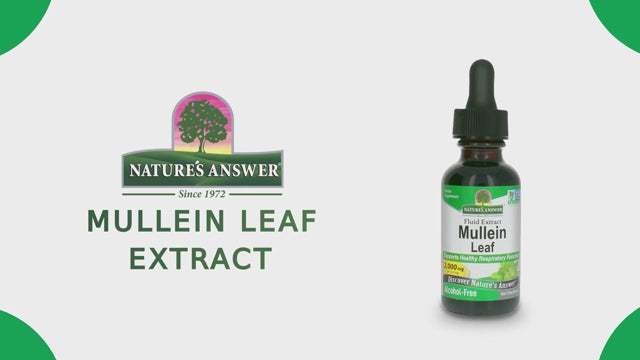 HERBIFY Mullein Leaf Extract Respiratory Support Liquid Drops