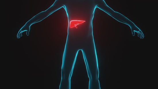 Natures Craft NAC Milk Thistle Liver Support Detox Formula Capsules