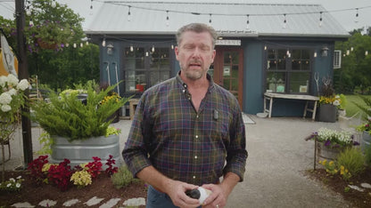 NutraChamps Milk Thistle Liver Support Detox Formula Capsules