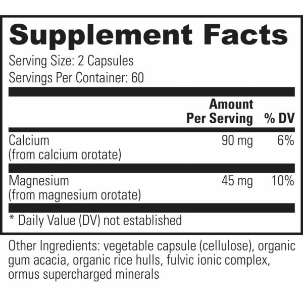 Calcium & Magnesium 120 caps by Global Healing - Image 2