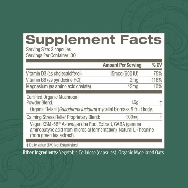 Gently Zen Mushroom Superfood 90 caps by Om Mushroom - Image 2