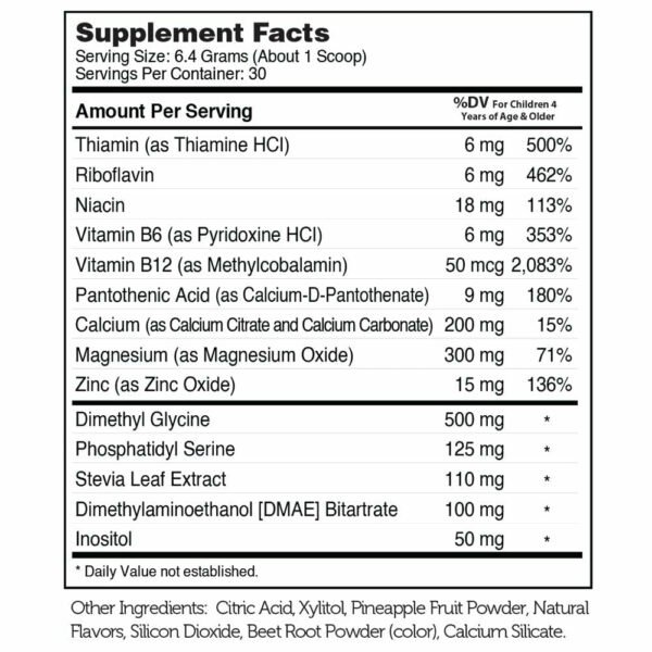 KidsActive Powder 30 Servings by Zahler - Image 2