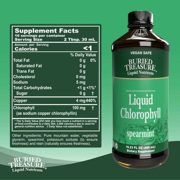 Liquid Chlorophyll Spearmint 16.23 fl oz by Buried Treasure - Image 2