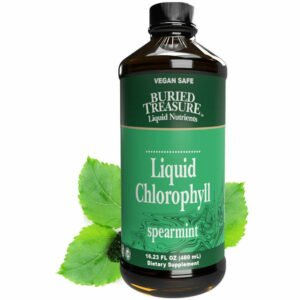 Liquid Chlorophyll Spearmint 16.23 fl oz by Buried Treasure