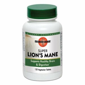 Super Lion's Mane 120 vegtabs by Mushroom Wisdom, Inc.