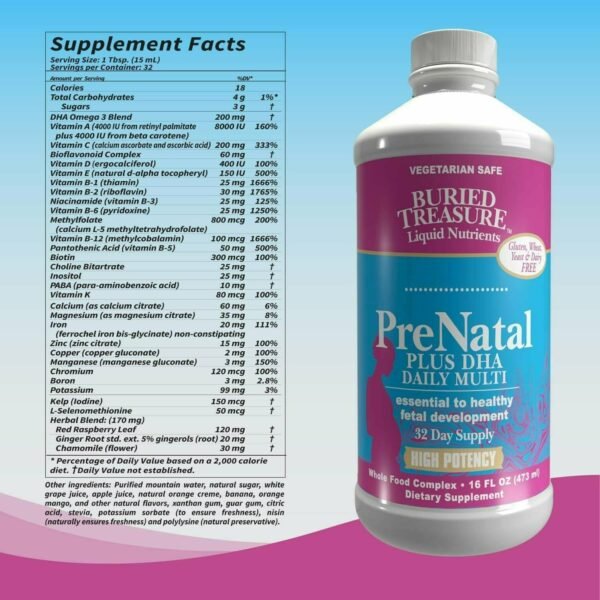 PreNatal plus DHA Complete 16 fl oz by Buried Treasure - Image 2