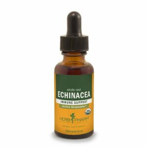 Echinacea by Herb Pharm