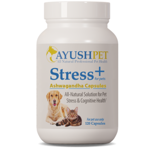 Stress+ Ashwagandha 90 caps by Ayush Herbs